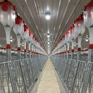 domuz disk zinciri otomatik besleme sistemi